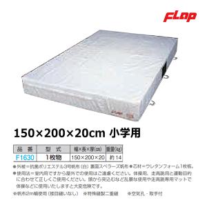 フラップ スベラーズ型抗菌エバーマット(室内用)1枚物 150×200×20cm 大型品 F1630 ＜2024NP＞