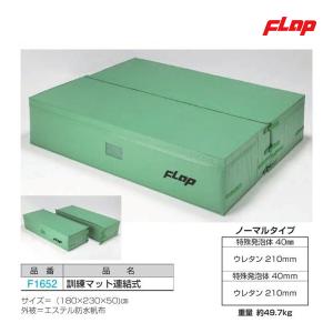 フラップ ソフト平均台30 大型品 F2171 ＜2026NP＞ : JPNスポーツ 