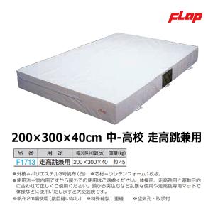 マットのみ フラップ エバーマット(室内用)体操用 150×200×20cm 大型品 F1710