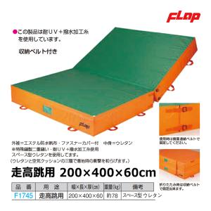 フラップ オール合成スポンジマット(ハイジニック) 9号帆布 120×300