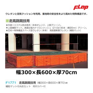 ニシ・スポーツ 走高跳用トレーニングマット L3000タイプ （W）2000