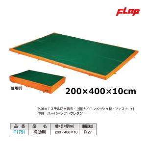 フラップ メッシュ付補助マット 200×400×10cm F1791 ＜2023NP＞