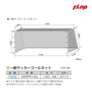 フラップ 一般サッカーゴールネット (2枚1組) F4339 ＜2023NP＞