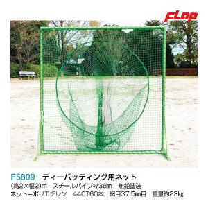 EVERNEW（エバニュー） ティーバッティングネット STW 200×90×203cm