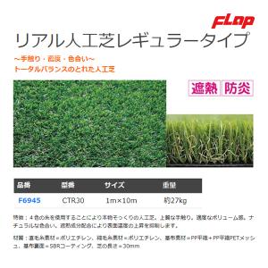 フラップ リアル人工芝レギュラー30mm F6945 ＜2023NP＞