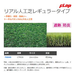 フラップ リアル人工芝レギュラー30mm F6946 ＜2023NP＞