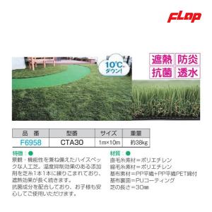 フラップ リアル人工芝あそびタイフ゜30mm 100cm×10m F6958 ＜2023NP＞