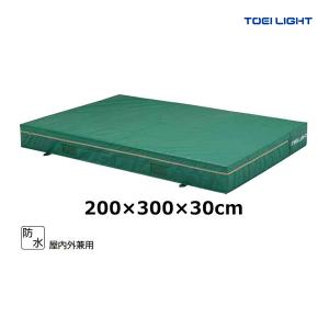 トーエイライト 屋内外兼用エバーマット 200×300×30cm G-1541
