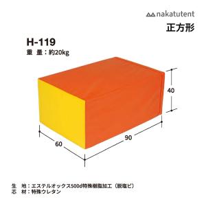 中津TENT 長方形 H-119 ＜2024NP＞