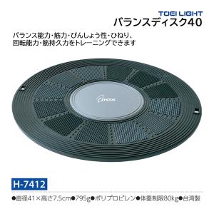 TOEI LIGHT（トーエイライト） 反復横とび用マット T-1816 ＜2026NP