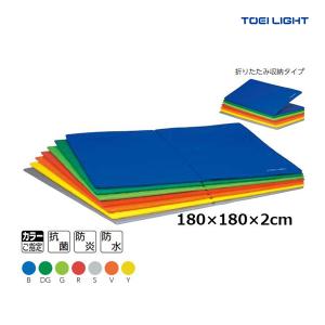 TOEI LIGHT（トーエイライト） (個人宅配送不可)(送料無料
