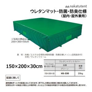 中津TENT ウレタンマット・カバー付 (屋内・屋外兼用) グリーン H-320