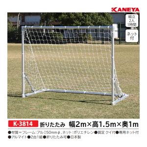 カネヤ アルミミニゴールF (メーカー直送) K-3814 ＜2024CON＞
