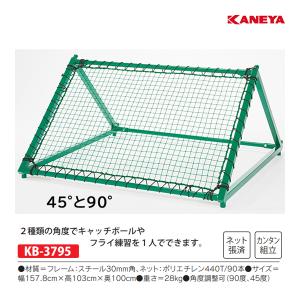 寺西喜 要見積 防球ネット (1m×1mに付) 網目10cm：緑 防炎ポリエチレン