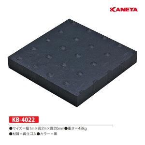 EVERNEW（エバニュー） 全天候硬式テニスネットT123 EKD874 ＜2025NP