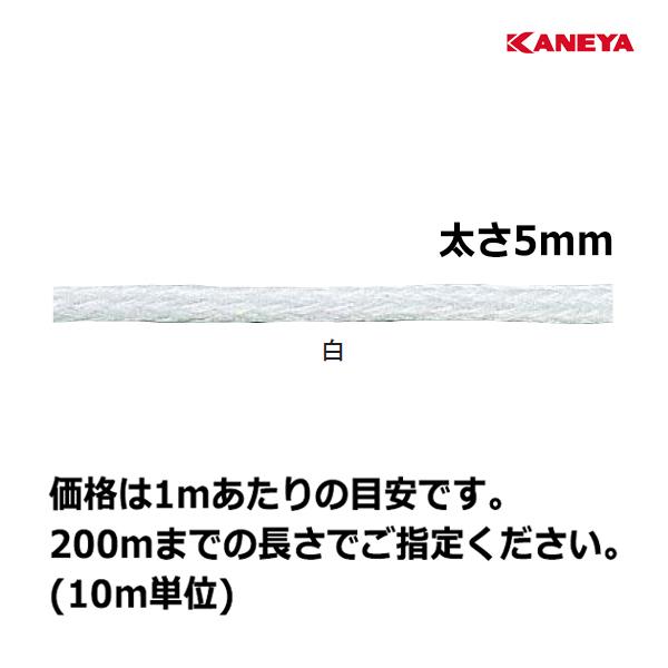 カネヤ PEブレードロープ5 出荷単位10ｍ KR-1125A ＜2024NP＞