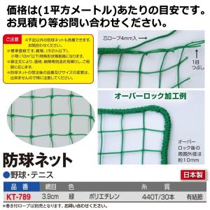 寺西喜 要見積 防球ネット (1m×1mに付) 網目10cm：緑 防炎ポリエチレン