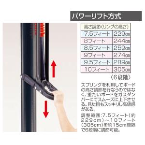 グローバルライフタイム ポータブルバスケットボ...の詳細画像1