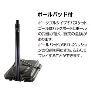 グローバルライフタイム ポータブルバスケットボ...の詳細画像3
