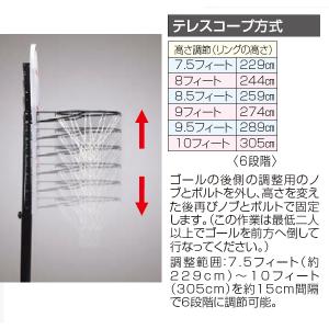 グローバルライフタイム ポータブルバスケットボ...の詳細画像1