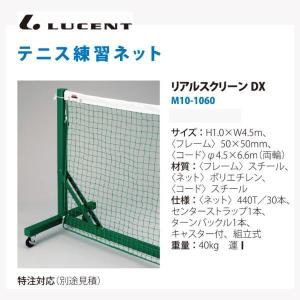 ルーセント リアルスクリーン DX M101060 ＜2026NP＞