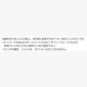 ルーセント アンカー型 テニスポスト SD M...の詳細画像1