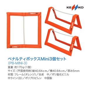サンラッキー ビーンボウリングセット (大型品：メーカー直送品) 梱包