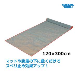 三和体育 スベランシート 120×300 S-6837 ＜2024NP＞｜jpn-sports