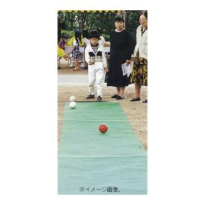 サンラッキー ビーンボウリングセット (大型品：メーカー直送品) 梱包