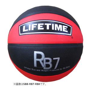 TOEI LIGHT（トーエイライト） ミニサッカー用L型ネット 白 B-6118W