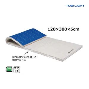 EVERNEW（エバニュー） 軽量カラーマットTP 90×180×5cm EKM085