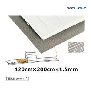 TOEI LIGHT（トーエイライト） (個人宅配送不可)(送料無料) 反復横とび