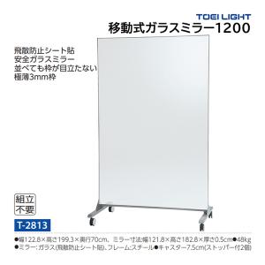 トーエイライト 移動式ガラスミラー1200 T-2813