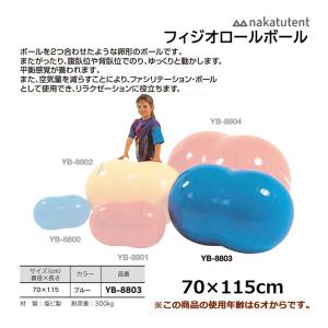 中津TENT フィジオロールボール 赤 40×65cm YB-8801 ＜2024NP＞ : JPN