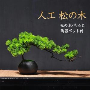 観葉植物、松、庭のお飾り