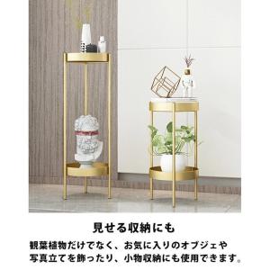 2 段 丸型アイアンフラワースタンド ラグジュ...の詳細画像4
