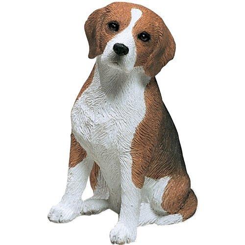 (Mid Size  Beagle - Sitting) - Sandicast Mid Size ...