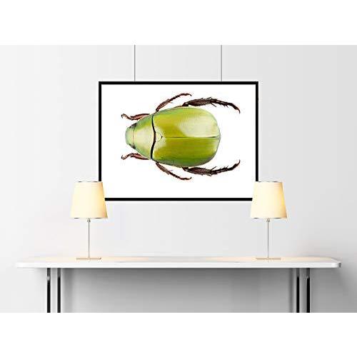 マクファーレンズ・ドラゴンズ シリーズ7 ファイアー・ドラゴン