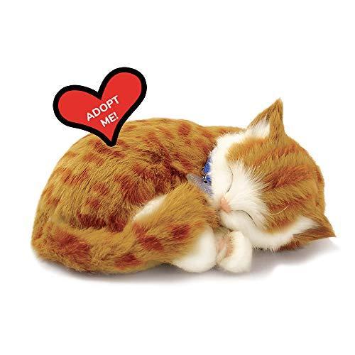 [パーフェクトPetzzz]Perfect Petzzz Orange Tabby Soft Toy...