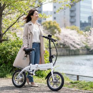 特定小型原動機付自転車 特定小型原付 RICH...の詳細画像1