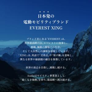 特定小型原付 EVEREST XING CIT...の詳細画像2