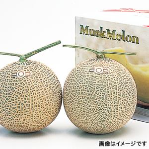 愛知 フルーツ メロン マスクメロン　2.8kg