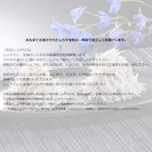静岡県遠州灘産しらす干しと釜揚げの詰合せの詳細画像2