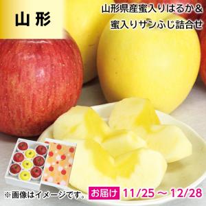 りんご 山形県産　蜜入りはるか＆蜜入りサンふじ詰合せ
