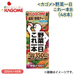 <カゴメ>野菜一日これ一本B(48本)の商品画像