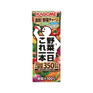 <カゴメ>野菜一日これ一本B(48本)の詳細画像1