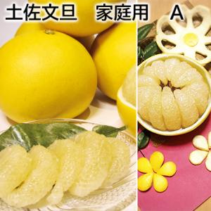 水晶文旦 送料無料 約5kgご家庭用 温室 水晶 文旦 訳あり サイズや