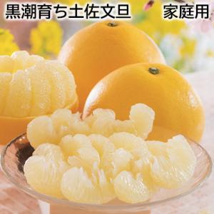 水晶文旦 送料無料 約10kgご家庭用 温室 水晶 文旦 訳あり サイズ