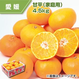 甘平みかん 4.5kg 愛媛 (家庭用) ミカン みかん 送料込み 甘平みかん 4.5kg 愛媛 (家庭用) ミカン みかん 送料込み