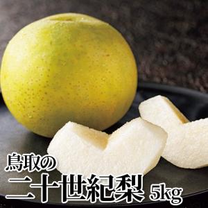 鳥取の二十世紀梨　５ｋｇ